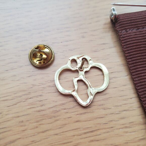 Vintage 90s Girl Scout Brownie Pin Set - Picture 6 of 6